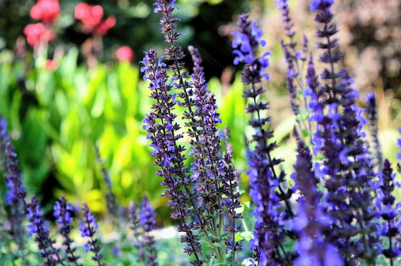 Herb gardening